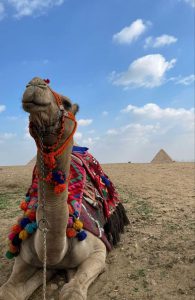 48 Hours in Cairo