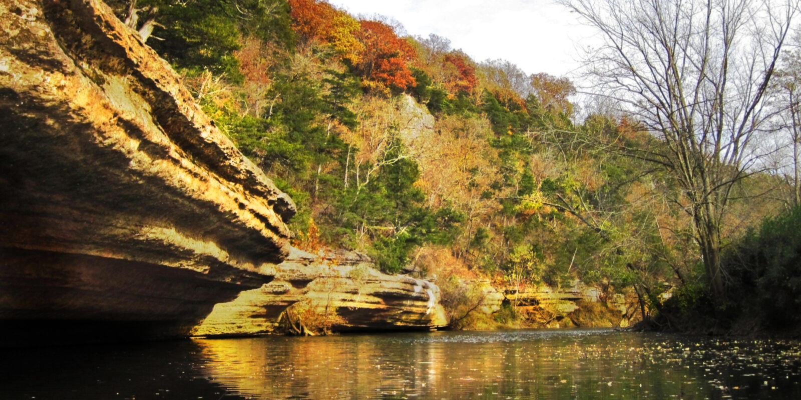 Best Camping Areas in Arkansas to Enjoy Nature