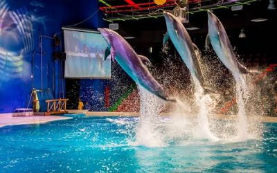 Dubai Dolphinarium