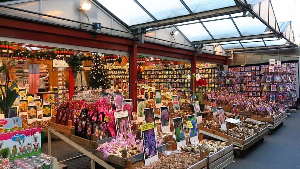 Best things to do in Amsterdam in Spring